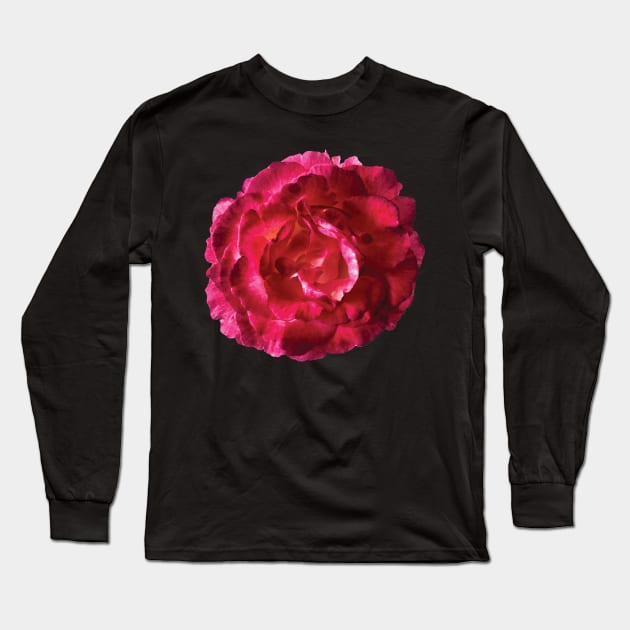 China Rose in Bloom Long Sleeve T-Shirt by katemccarty